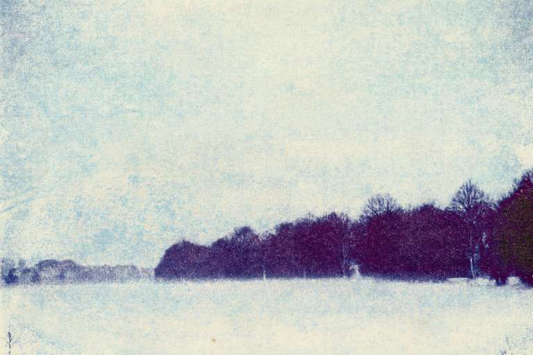 Münsterländer Parklandschaft im Schnee